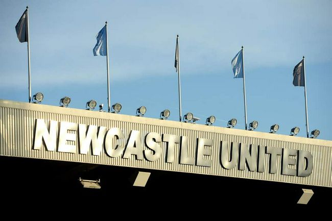 小怪兽视频网页版登录